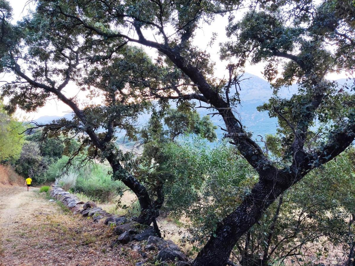 Casa El Canton Jimera de Líbar Εξωτερικό φωτογραφία