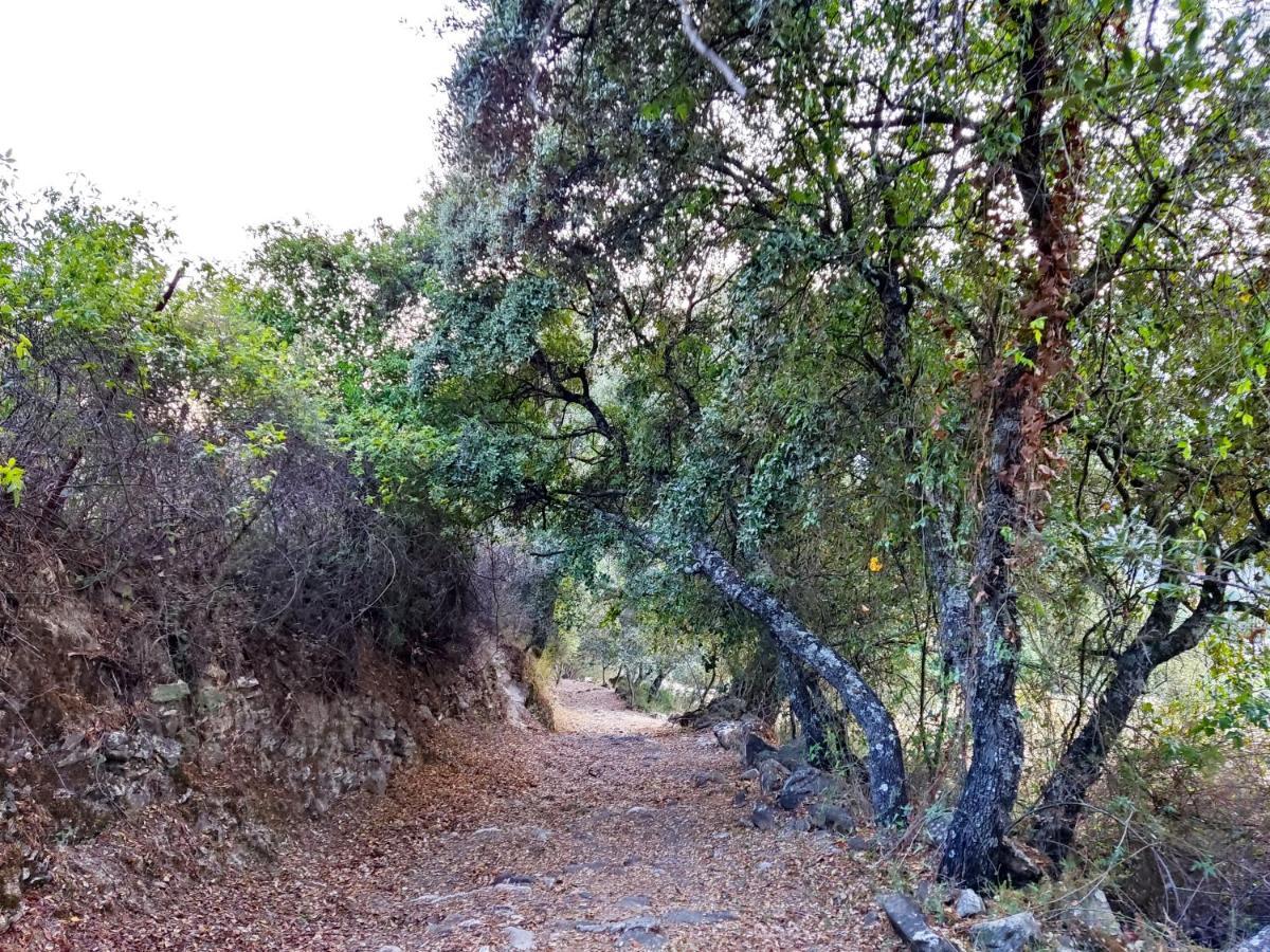 Casa El Canton Jimera de Líbar Εξωτερικό φωτογραφία